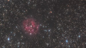 Cocoon Nebel