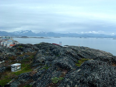 Maniitsoq