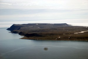 Basalt-Insel Bunte Kuh im Anflug 