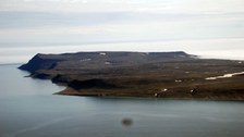 Basalt-Insel Bunte Kuh im Anflug 