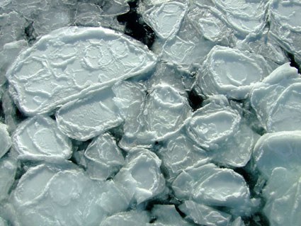  Vorbote des Winters: neugebildetes, sog. Pfannkucheneis 