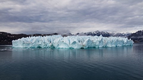 Eisberg im Scoresby Sund