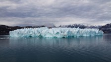 Eisberg im Scoresby Sund