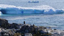 Nahe der argentinischen Sommerstation Primavera