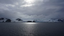 Südshetland Inseln