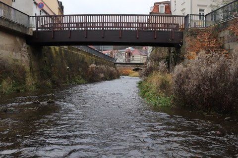 Biela (Mündung)
