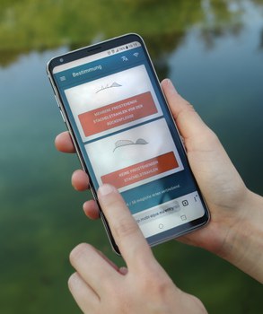 Handybildschirm auf dem man den Bestimmungsschlüssel in der MoBI-aqua app sehen kann