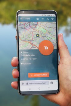 Handybildschirm auf dem man die Karte zur Fundmeldung in der MoBI-aqua app sehen kann