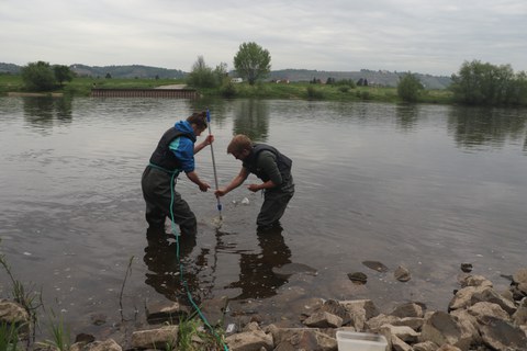 Sampling of makroinvertebrates