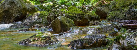 Stream