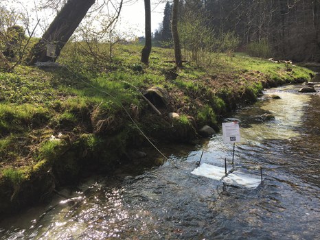 Fahne, die in einem Fluss steht und eine Microcosmos-Plattform (Plastik-Kasten mit Objektträgern) markiert
