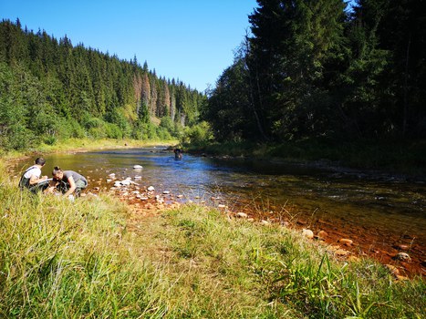 Projektpartner nehmen Proben in einem Fluss umgeben von Wald in Rumänien