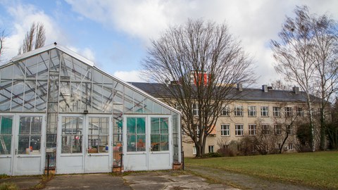 Gewächshaus, Hintereingang und Garten vom Drude-Bau