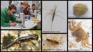 Biodiversität 01