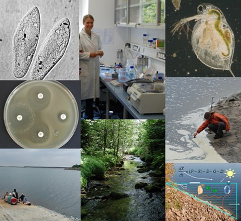 Hydrobiologie
