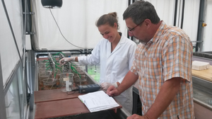 Labwork Greenhouse