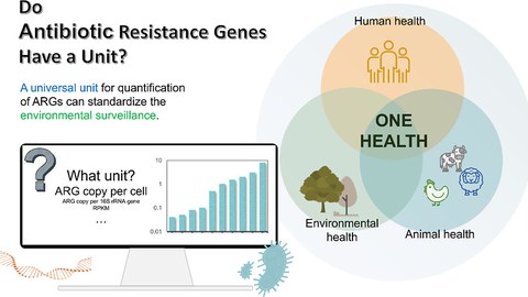 graphical abstract Yin 2023