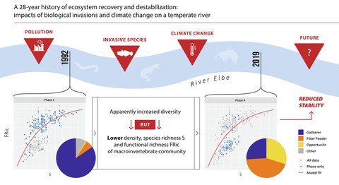 graphical abstract Worischka, scitotenv 2023