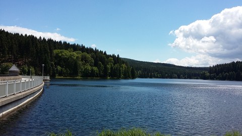 TS Neunzehnhain II