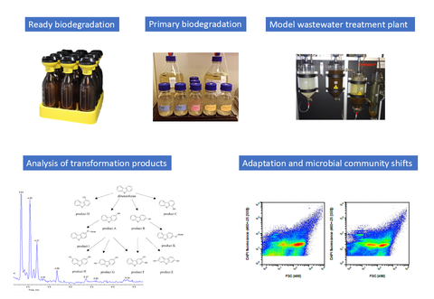 Assessment of biodegradability