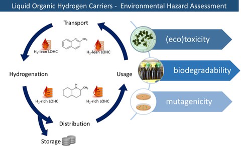 Graphical abstract