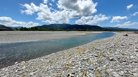 Wairau River