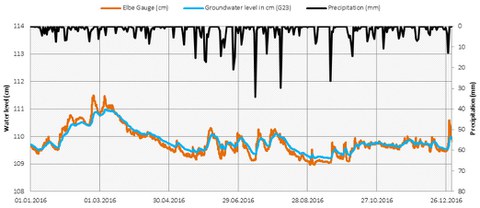 Water levels and Precipitation