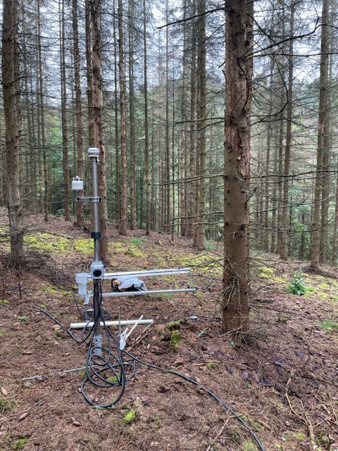 Feuerwetterstation Hollweg
