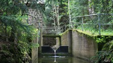 Wehr am Wernersbach im Tharandter Wald