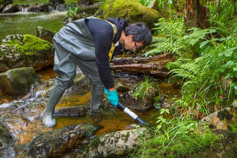 Messung des Biofilmbewuchs mittels BenthoTorch 