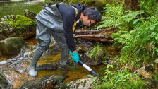 Messung des Biofilmbewuchs mittels BenthoTorch 