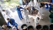 Das Bild zeigt Studierende bei der Sortierung von Müll im umwelttechnischen Praktikum