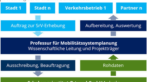 Organisationsstruktur des SrV