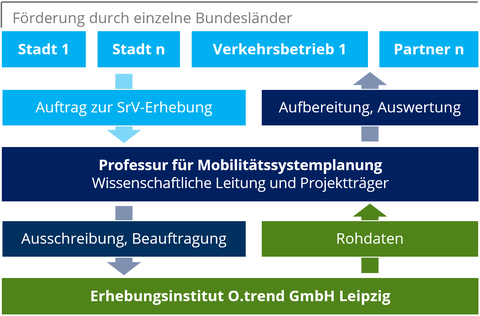 Organisationsstruktur des SrV