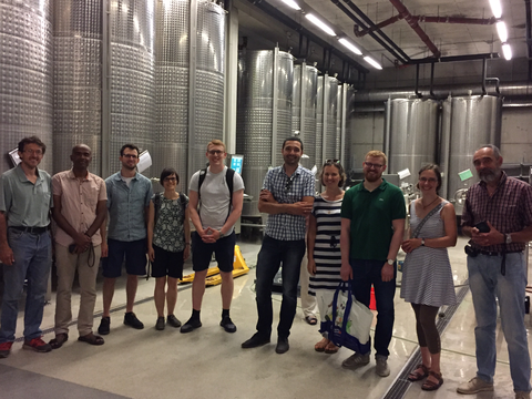 Weingut 1