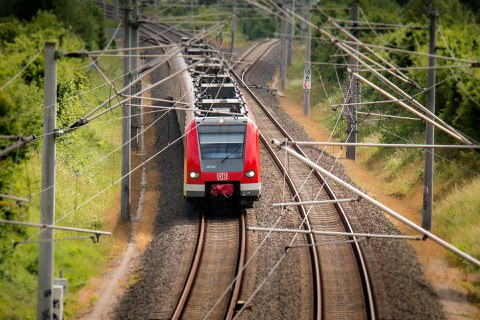 Eine S-Bahn der Deutschen Bahn fährt durch ein gebiet mit Büschen und Bäumen.