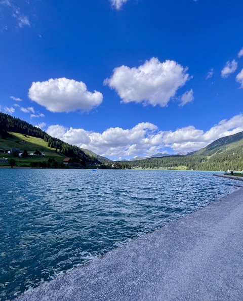 WBF in Davos