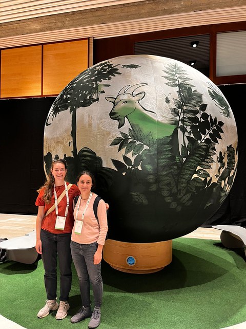 WBF in Davos