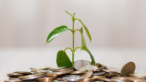 ESG compensation