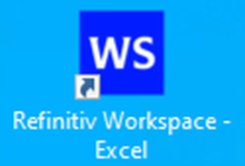Workspace Excel Icon