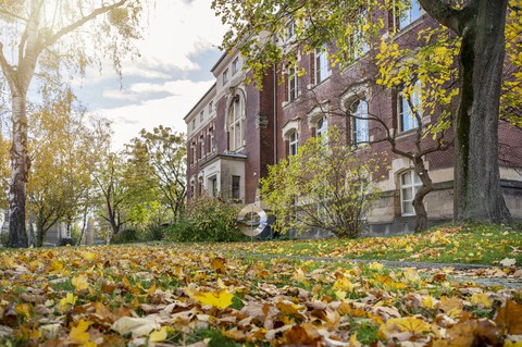 Man sieht ein Universitätsgebäude mit herbstlichen Blättern.