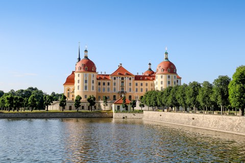 Im Hintergrund ist das Schloss Moritzburg zu sehen. Davor sieht man einen Teil des Teiches und Baumalleen.