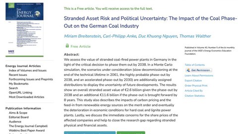 Paper Stranded Asset Risk