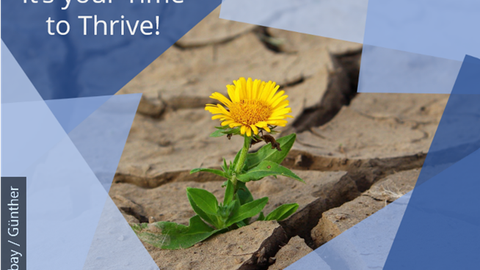 Auf dem Bild ist eine Blume zu sehen, die auf vertrocknetem, rissigen Boden wächst. Außerdem ist das Bild mit "It's your Time to Thrive" beschrieben.