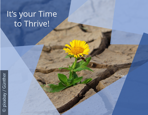 Auf dem Bild ist eine Blume zu sehen, die auf vertrocknetem, rissigen Boden wächst. Außerdem ist das Bild mit "It's your Time to Thrive" beschrieben.