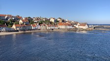 Elie 