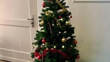 Einen Tannenbaum des FSR