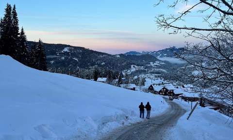 Es ist eine Winterlandschaft zu sehen. 