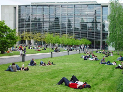 Rückseite des Hörsaalzentrum der TU Dresden. Auf der Wiese sieht man viele Studierende in kleinen Gruppen.
