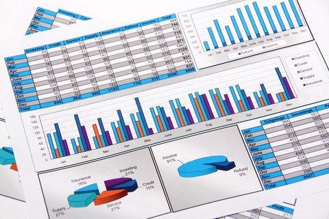 Das Foto zeigt mehrere Papiere mit verschiedenen Diagrammen und Statistiken.